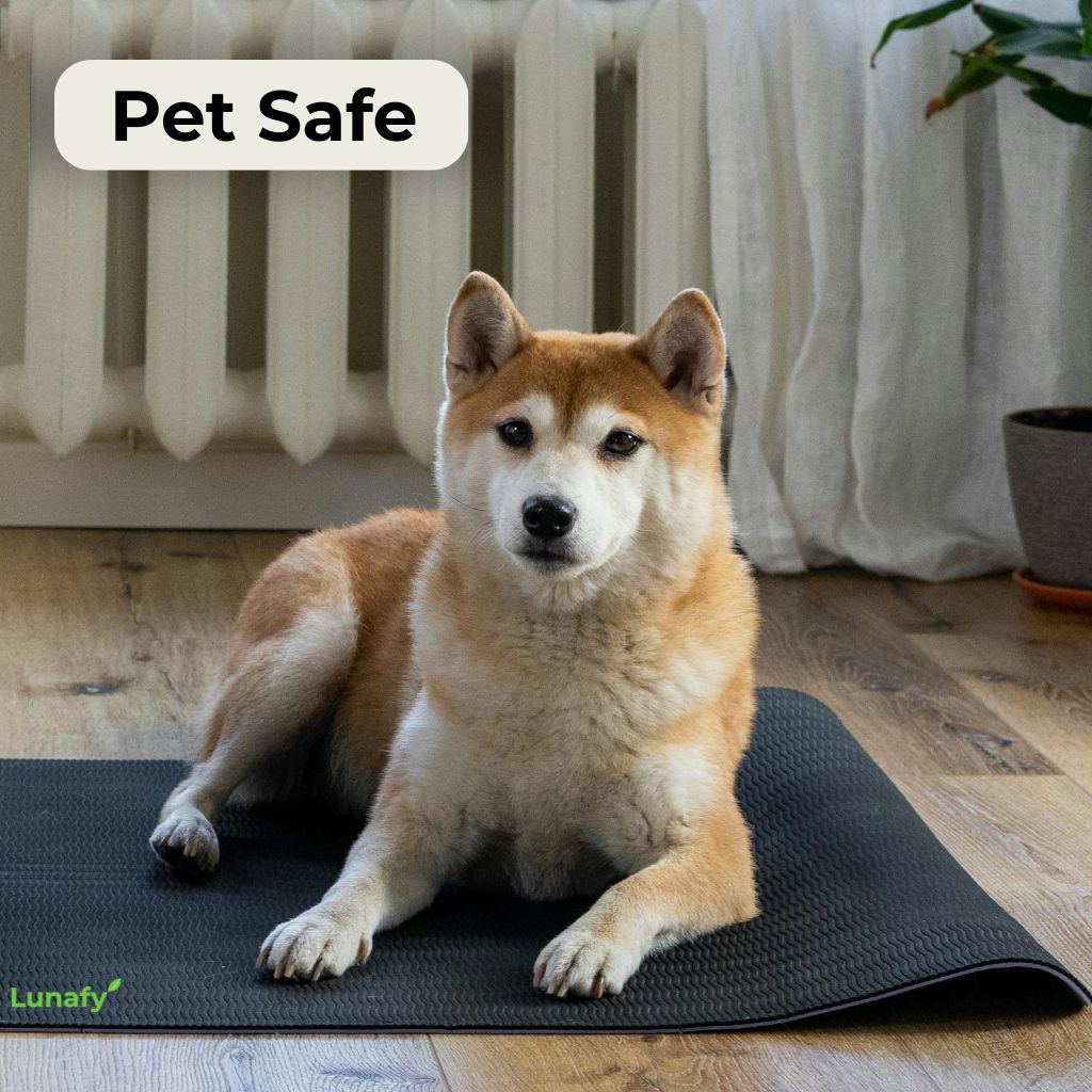 Lunafy Grounding Mat